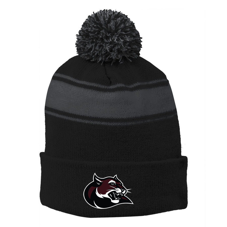 Stripe Pom Pom Beanie