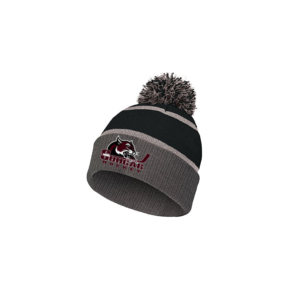 Embroidered Knit Fold Over Pom-Pom Beanie
